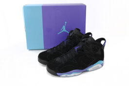 CT8529-004 Air Jordan 6 GRAPE