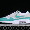 [DZ4549-001]-[AIR MAX 1 PRM NEUTRAL GREY/CLEAR JADE/WHITE/BLACK]-[WOMAN:36-39]-[MAN:40-47.5]