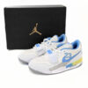 FJ7223-141 Air Jordan AJ312 GS Magnolia