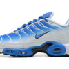 Nike Air Max Plus Tn Running shoe Sneakers