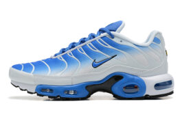 Nike Air Max Plus Tn Running shoe Sneakers