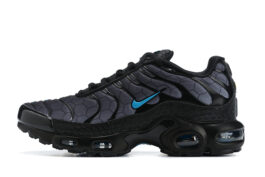 Nike Air Max Plus Tn Running shoe Sneakers