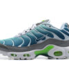 Nike Air Max Plus Tn Running shoe Sneakers