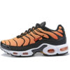 Nike Air Max Plus Tn Running shoe Sneakers 39-47