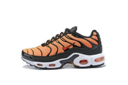 Nike Air Max Plus Tn Running shoe Sneakers 39-47