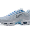 Nike Air Max Plus Tn Running shoe Sneakers