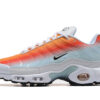 Nike Air Max Plus Tn Running shoe Sneakers