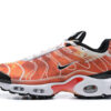 Nike Air Max Plus Tn Running shoe Sneakers