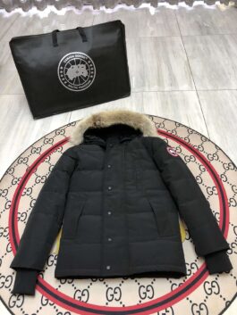 Canada Goose Winter Sale ¨C Premium Down Jackets at Discounted Prices E47-Carson