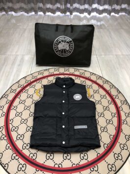 Canada Goose Luxury Down Jackets ¨C Premium Insulation for Harsh Winters Vest White Label Glacier