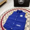 Canada Goose Luxury Down Jackets ¨C Premium Insulation for Harsh Winters Vest White Label Glacier